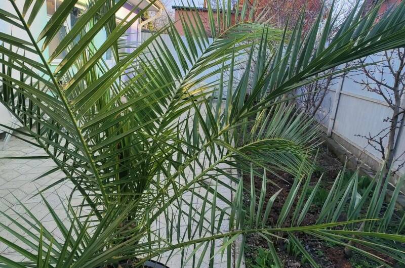 Гостевой дом «Любой каприз»