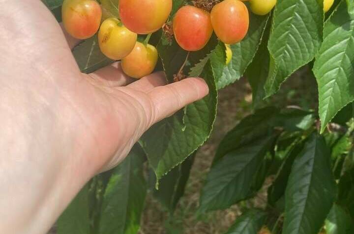 Гостевой дом «Отдыхай Ка»