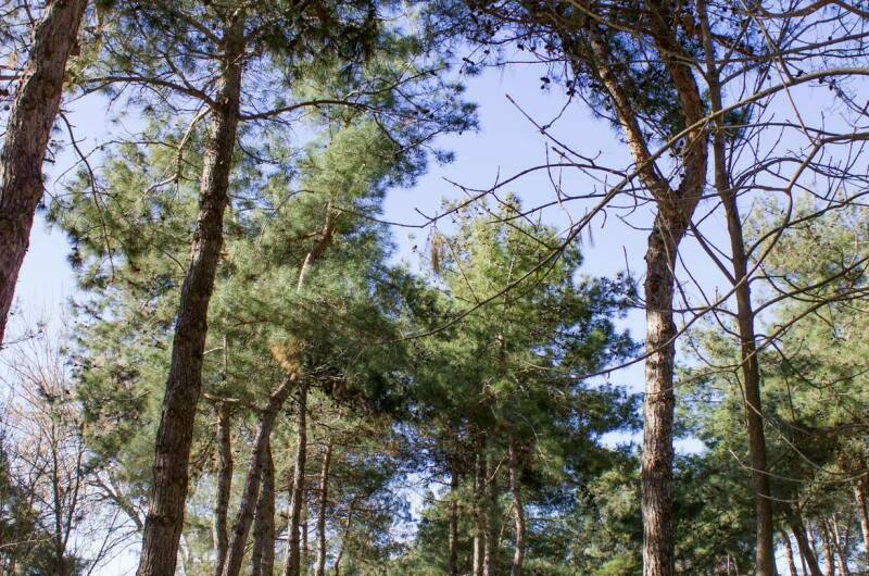 Апартаменты в ЖК «Колорит»