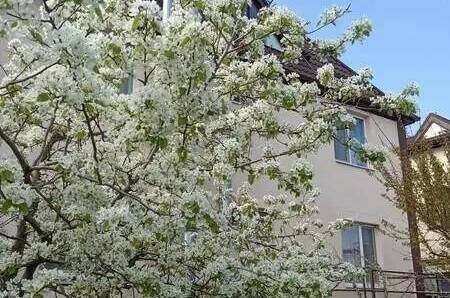 Гостевой дом «ЛюбоМорье»