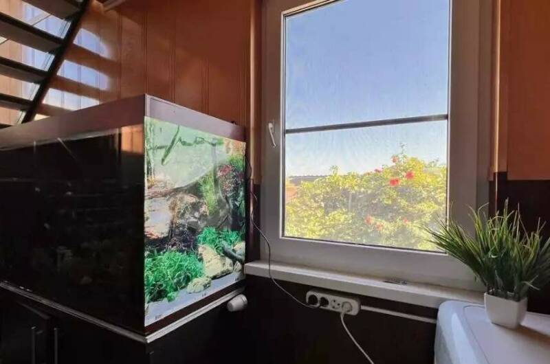 Апартаментный комплекс «Home Nuk Family»