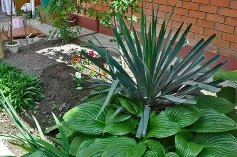 Гостевой дом «София»