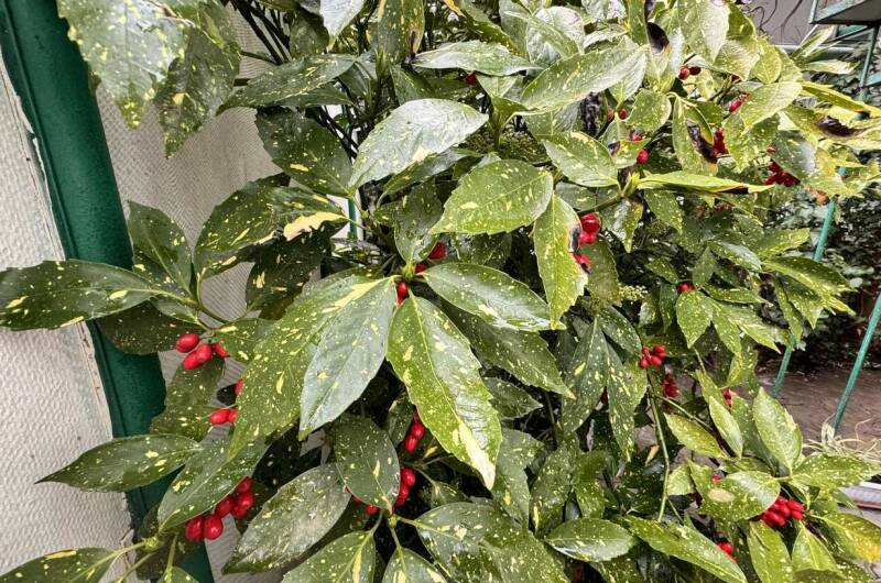 Гостевой дом «ДиЛен»