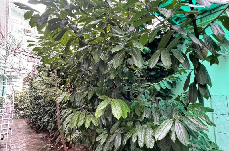 Гостевой дом «ДиЛен»