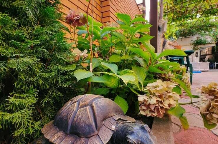 Гостевой дом «Нателла»