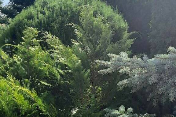 Гостевой дом «Италмаз»